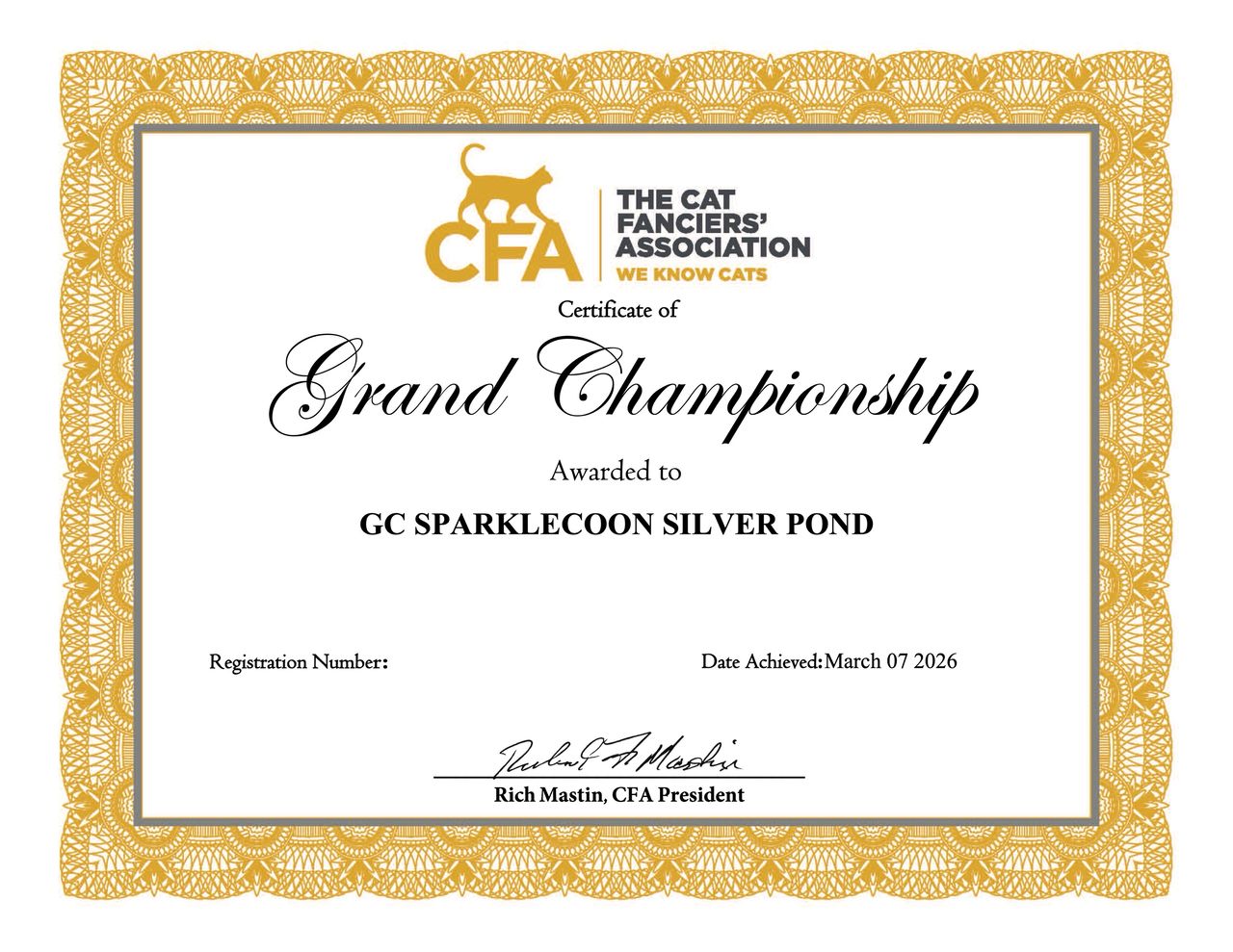 Silver Pond - Blue Silver Classic Tabby with White - silver pond cfa grand champion